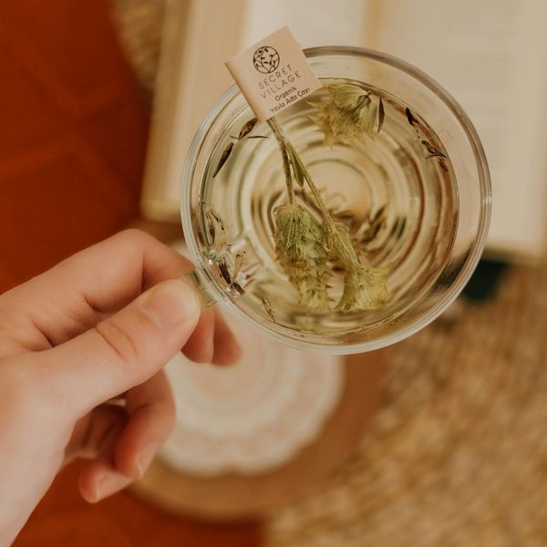 Person hands holding a cup of herbal tea outdoors